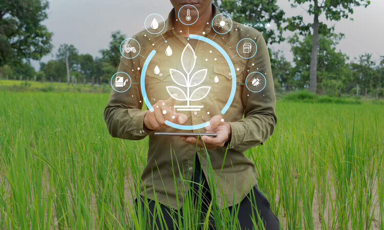 15 Essential Sustainable Farming Practices 6 tvseurogripoht 15 Essential Sustainable Farming Practices